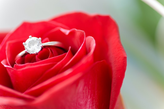 rozen